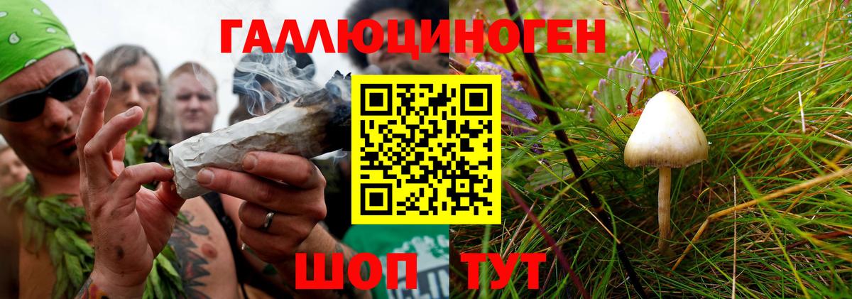 Псилоцибиновые грибы GOLDEN TEACHER Пушкино
