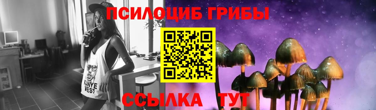 Пушкино  Галлюциногенные грибы Magic Shrooms  Вход с VPN  Галлюциногенные грибы Cubensis 